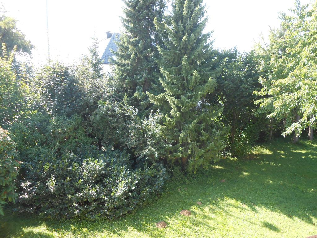 Sound Apartma Eva Διαμέρισμα Radovljica Εξωτερικό φωτογραφία