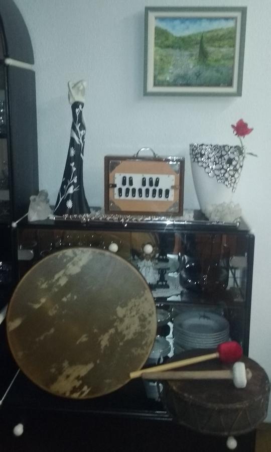 Sound Apartma Eva Διαμέρισμα Radovljica Εξωτερικό φωτογραφία