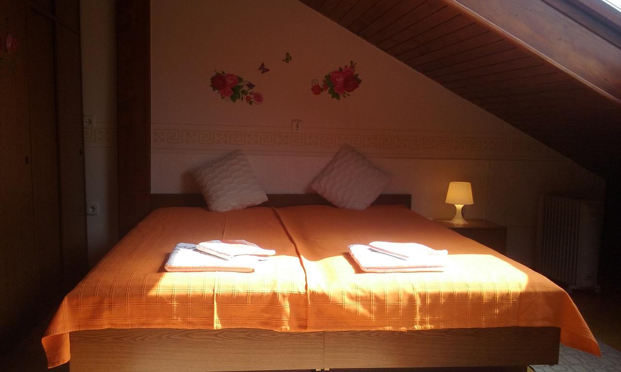 Sound Apartma Eva Διαμέρισμα Radovljica Εξωτερικό φωτογραφία